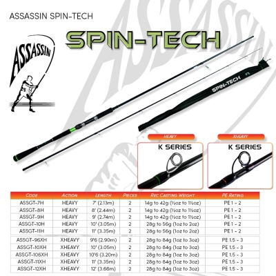 ASSASSIN SPIN TECH 9.6FT