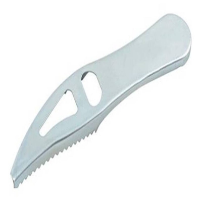FISH DESCALER