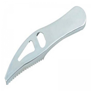 FISH DESCALER